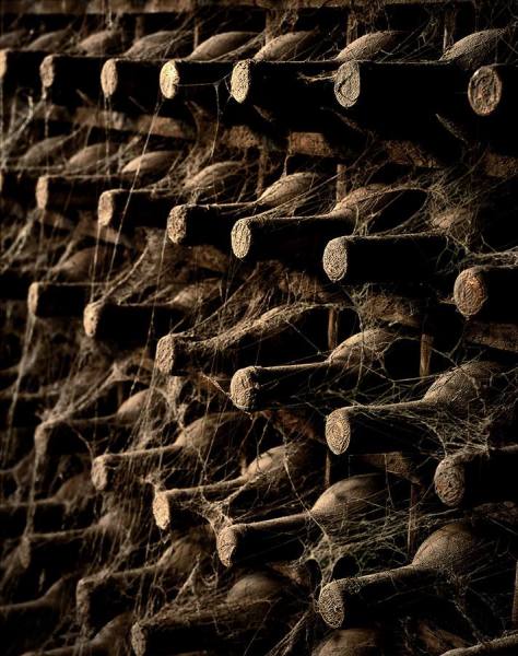 Photograph Gonzalo Puertas Bottels on One Eyeland